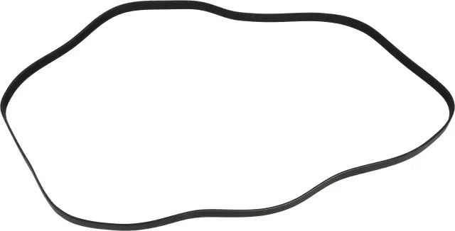 Nissan Genuine OEM Serpentine Belt 11720-JK20A for 350Z