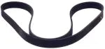 Nissan Genuine OEM Serpentine Belt 11720-5NA0B for Altima and Murano