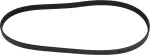 Nissan Genuine OEM Accessory Drive Belt 11920-31U02 for Maxima