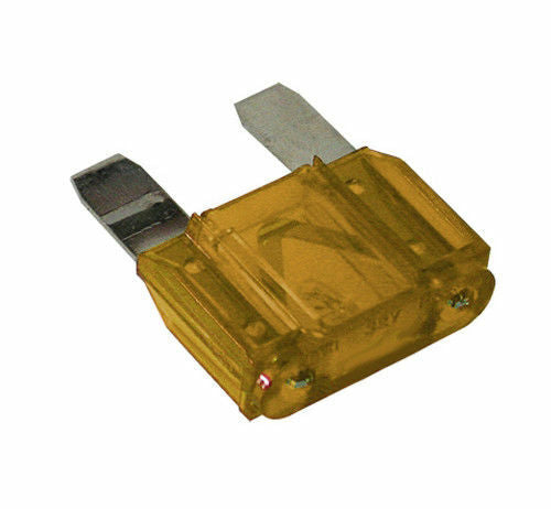 Genuine Nissan 5A Fuse 24319-6LA4A - OEM Multi-Purpose Mini Fuse For Nissan Cars & SUVs
